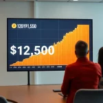 Imagen relacionada con Bitcoin máximo histórico